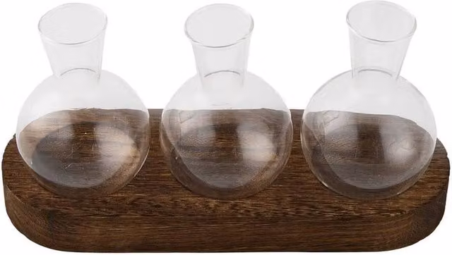 PAWNORA Desktop Propagation Station with Clear Glass Bulb Vases and Wooden Stand – 1