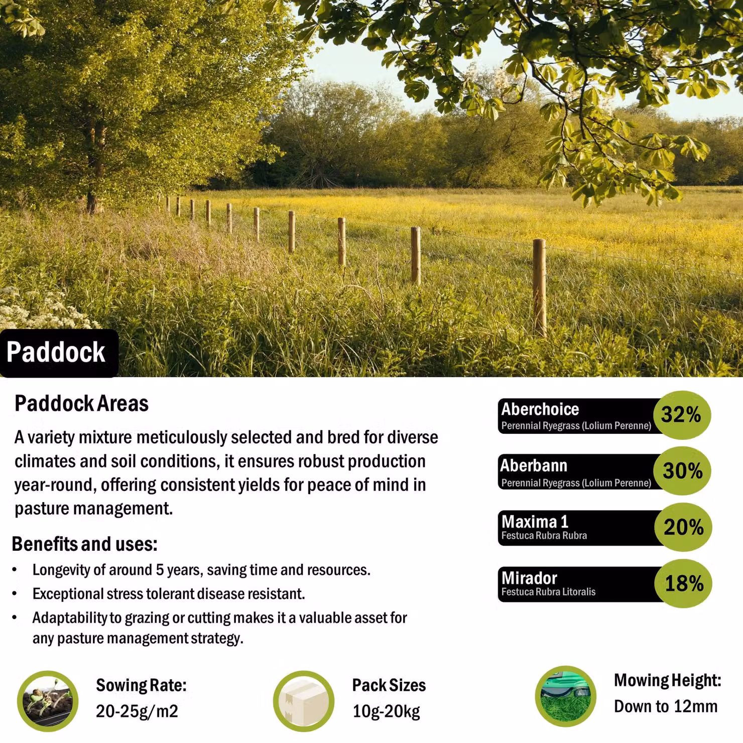 Pegdev PDL Resilient and Versatile High-Yielding Paddock Grass Seed, 500g – 2