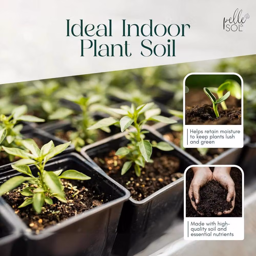 Pelle & Sol Houseplant Potting Compost Mix with Seramis Granules, 10 l – 5