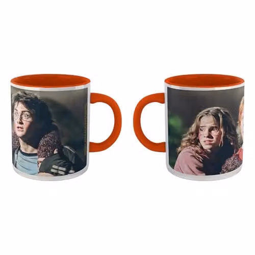 Zavvi Harry Potter Hermione Ron and Harry Ceramic Mug in Orange and Multicolour