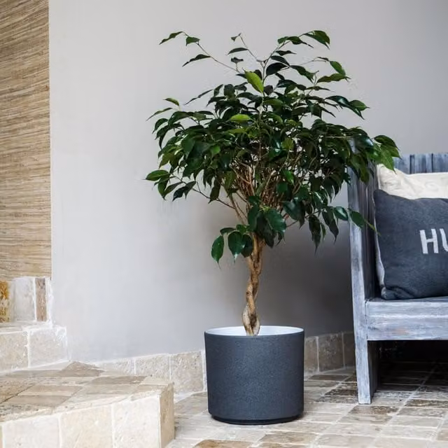 Ivyline Leon Round Stone Planter in White and Beige, H: 27 cm, D: 32 cm