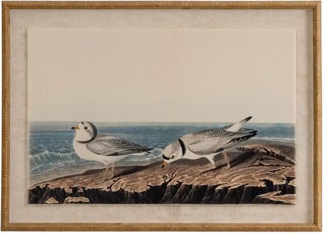 KDMK Flora Fauna Plovers on Linen Wall Art with Beaded Frame in Brown and Multicolour