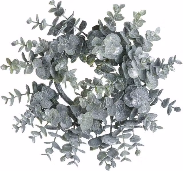 Wyld Haus Medium Frosted Eucalyptus Candle Wreath in Green – 1