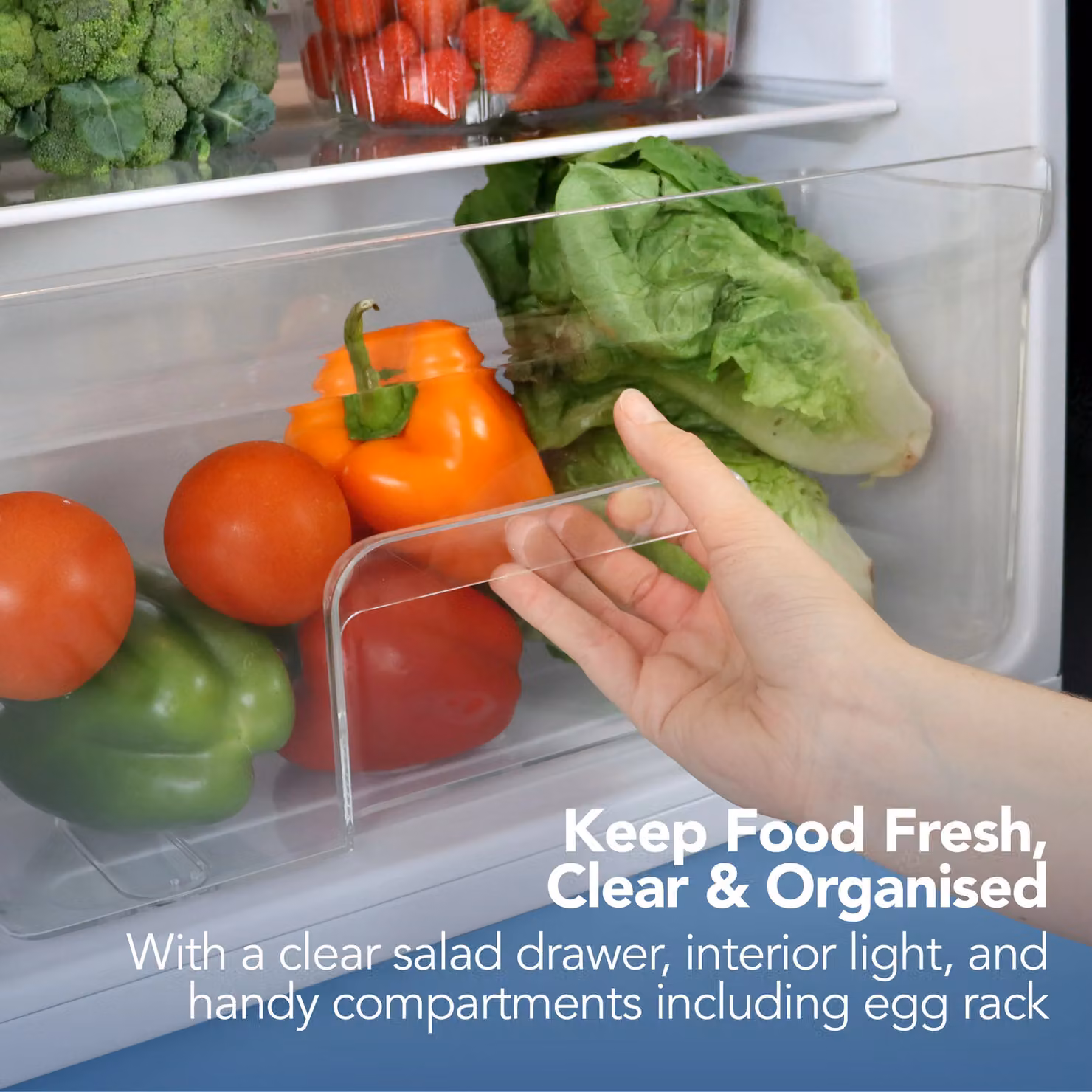 Igenix Under Counter Larder Fridge, Black, 92 Litres – 6