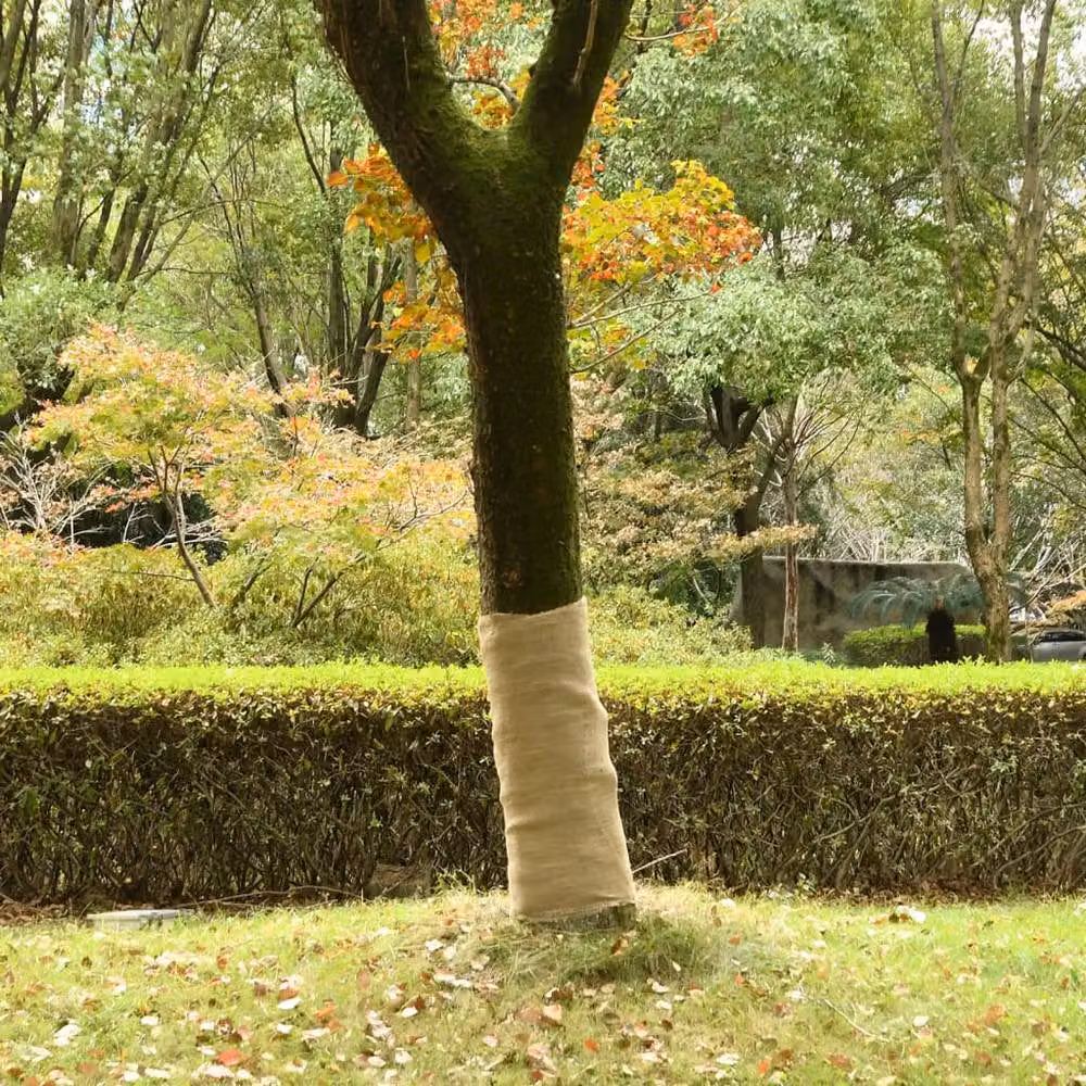 Berkfield Home Natural Jute Roll, 100% Jute, 200 gsm, 1 x 50 m – 2