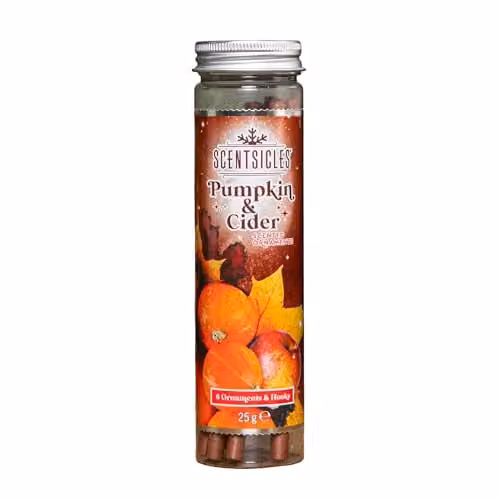 Samuel ALEXANDER Pumpkin and Cider Scented Christmas Scentsicles, 25g – 1