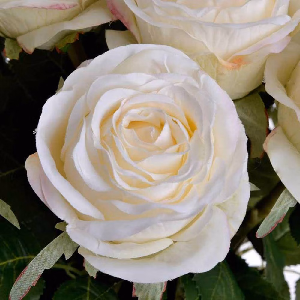 Lemon Pavilion Traditional White Artificial Rose Flower, W: 9 cm, D: 9 cm, H: 71 cm – 3