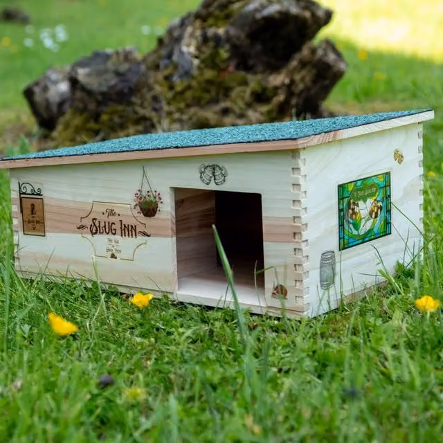 Boxer Gifts The Slug Inn Hedgehog House in Black Wood