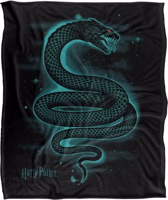 Warner Bros. Harry Potter Basilisk Stars Silky Touch Super Soft Fleece Throw Blanket, Multicolour – 6