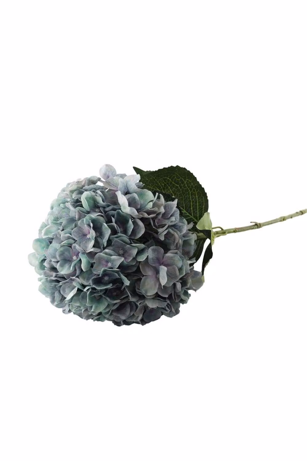 KDMD Essential Lilac Green Giant Hydrangea in Purple and Green – 2