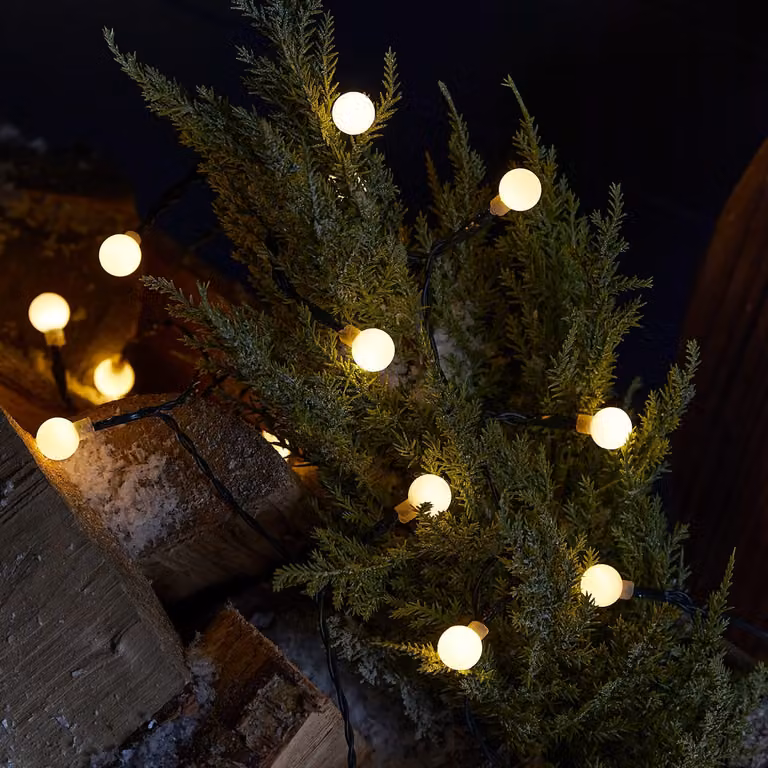 50 Warm White LED Berry Outdoor Fairy Lights with Timer and Battery Operation in Green and White
