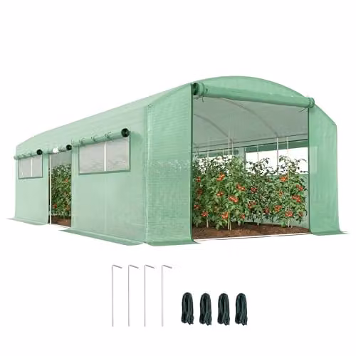 Outsunny Green Polytunnel Greenhouse with Roller Windows and Galvanised Steel Frame, W: 6.0 m, D: 3.0 m, H: 2.0 m