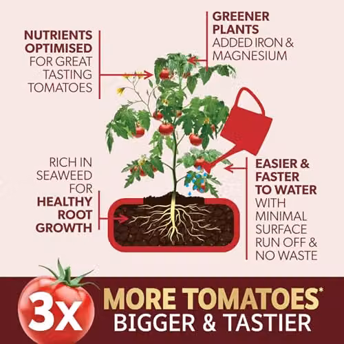 Westland Big Tom Tomato Plant Tonic, 2 l – 2