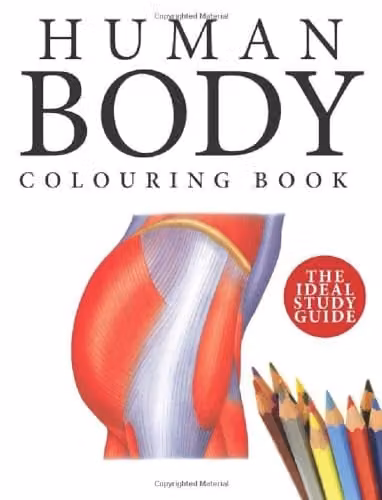 Amber Books Human Body Colouring Book with 215 Multicolour Anatomy Illustrations for Adults