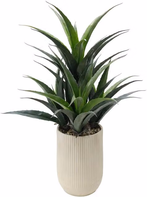 XL Commercial Pink and Green Artificial Agave Succulent Potted Plant Display, Height: 113 cm, Width: 55 cm
