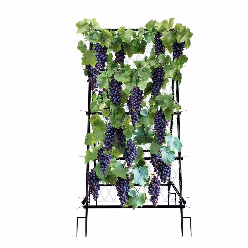 Nordara Large Trellis Plant Support Stand in Black, H: 176 cm x W: 90 cm – 5
