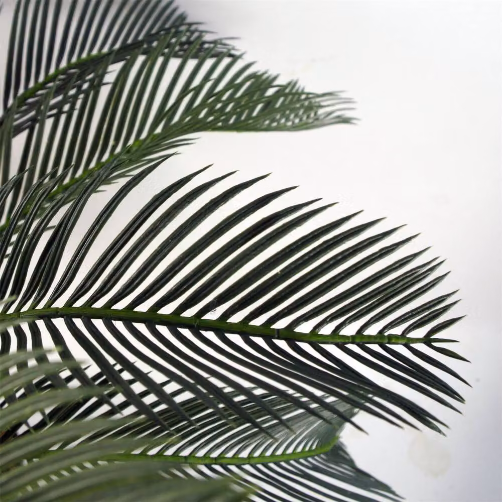 Botanik Green Artificial Cycas Palm Tropical Tree Height: 80 cm – 4