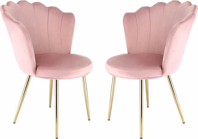Home Garden Direct Daisy Velvet Accent Chairs Set of 2 in Pink with Metal Frame