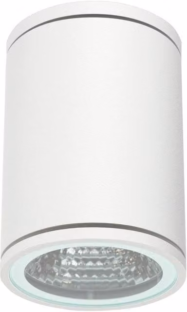 Netlighting Orion White LED Outdoor Surface Mounted Downlight 8W IP54