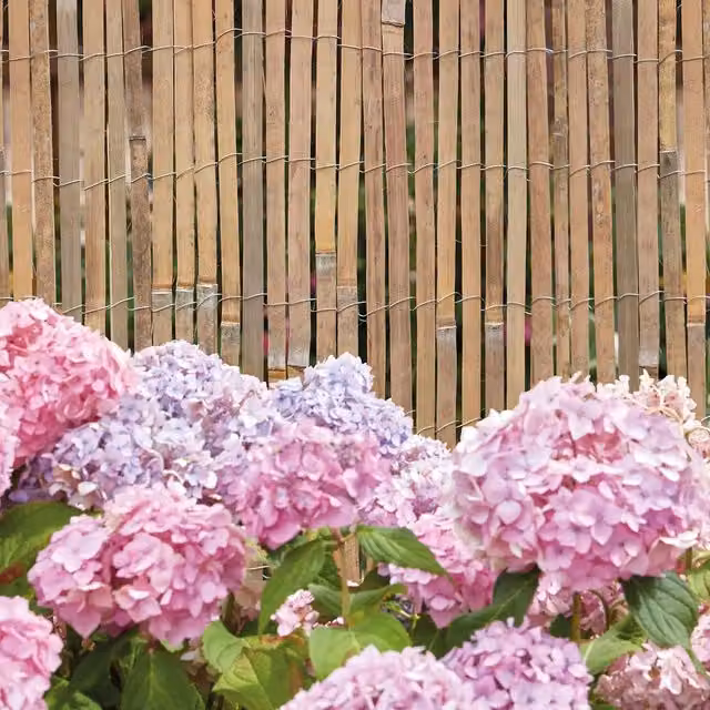 Garden Gear Brown Woven Bamboo Slat Screen Roll, W: 1 m, L: 4 m