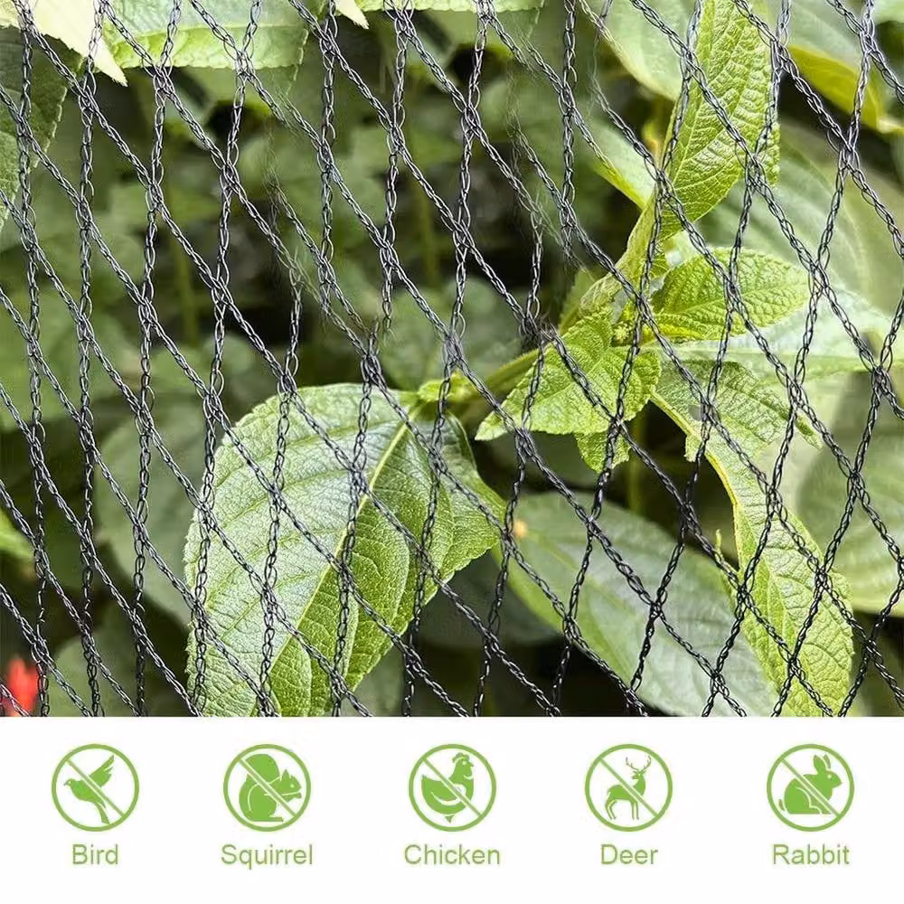 NESTLUNE Black Anti Bird Netting with 50 Cable Ties, W: 10 m, D: 6 m – 4