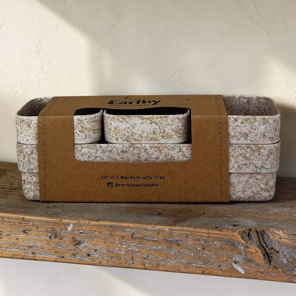 Four Candle Oatmeal Chaff Pots with Tray in Beige, White and Multicolour, W/D/H: 23 x 7.5 x 7.5 cm – 2