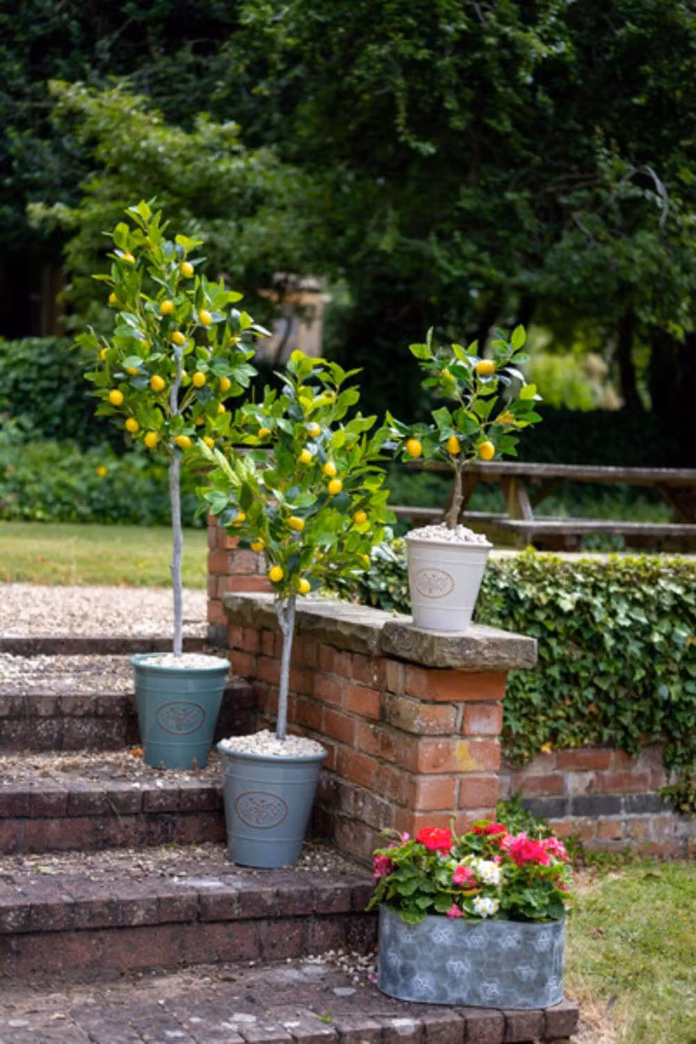 KDMD Artificial Green Lemon Tabletop Tree – 3