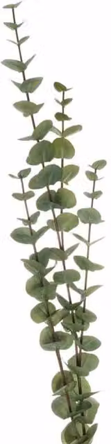 Lemon Pavilion Furniture and Decor Large Cineraria Eucalyptus Artificial Plant Spray, Green, W: 28 cm, D: 28 cm, H: 110 cm