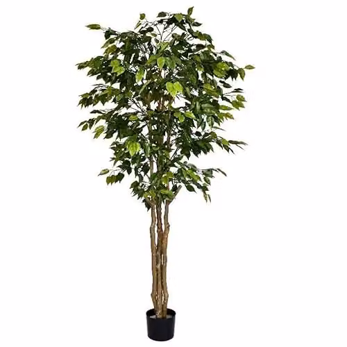 Deluxe Retusa Ficus Artificial Tree, Green, Height: 180 cm – 1