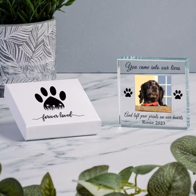 Uniqueful Personalised Paw Prints Glass Token Sympathy Gift in Transparent and Beige