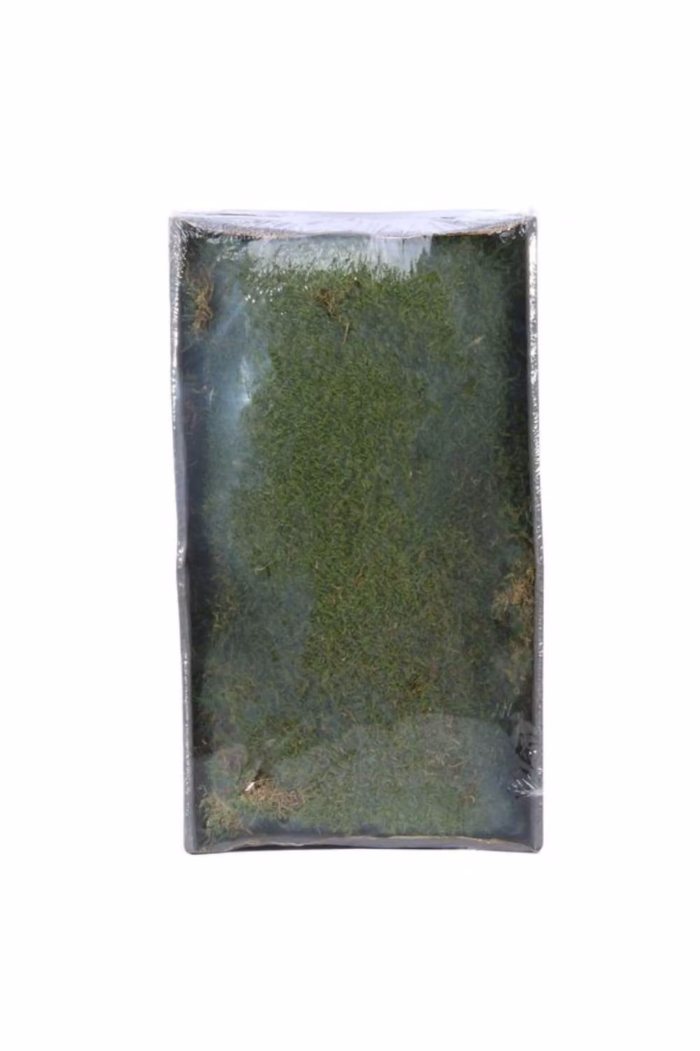 KDMD Preserved Green Moss with Tray, 500g – 2