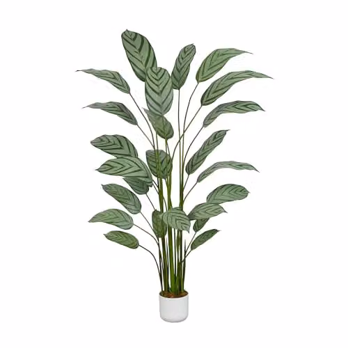 mcc direct Artificial Bird of Paradise Tree, Green, Height: 180 cm
