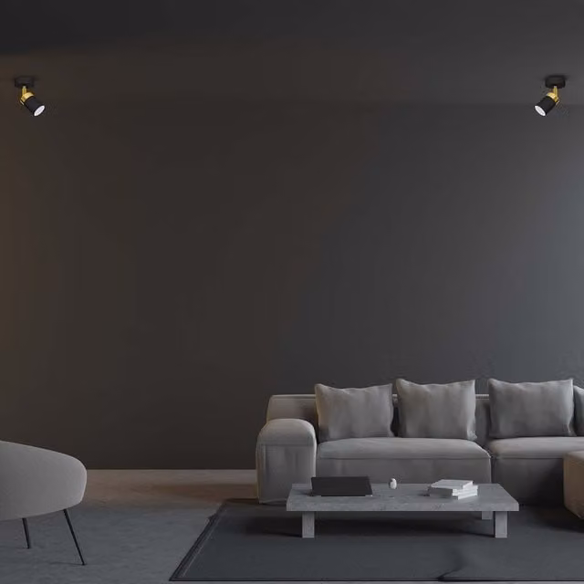 Milagro Joker Adjustable Minimalist LED Wall Lamp with GU10 Cylinder in Black