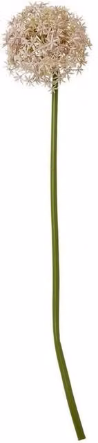 Lemon Pavilion Purple Allium Single Stem Artificial Flower, Plastic, W/D/H: 16 x 16 x 80 cm – 1