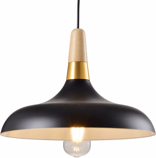 CGC Esther Black Dome Ceiling Pendant Light with Wood and Gold Accents