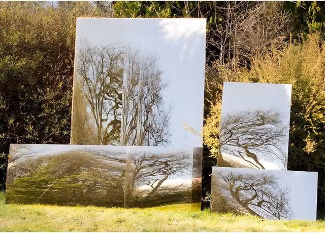 Primrose Large Rectangular Non-Shatter Acrylic Garden Mirror in Gold