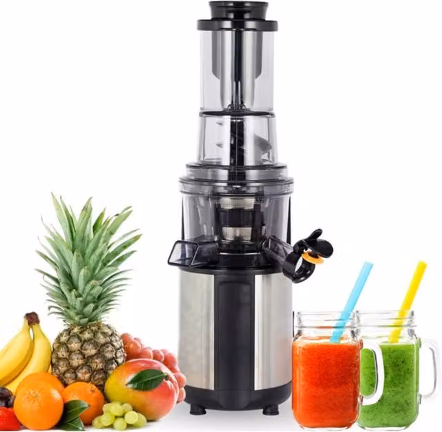 AREBOS Slow Juicer in Silver with Stainless Steel and Glass, 200 W