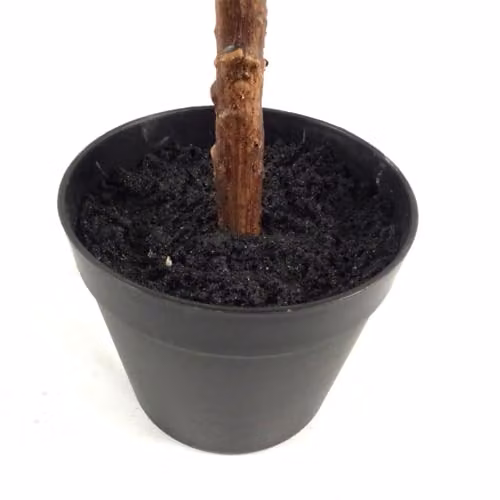 Leaf Design UK Artificial Fiddle Fig Tree in a Black Plastic Pot, Green, H 70 cm x W 35 cm x D 35 cm – 3