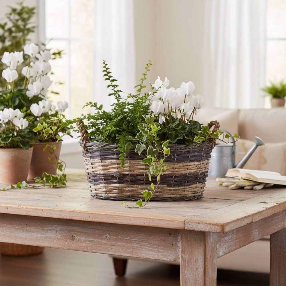 Four Candle Grey Split Willow Oval Storage Basket with Handles – 2