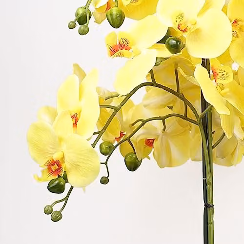 Leaf Design UK Realistic Artificial Yellow Orchid in a Black Ceramic Planter, H 60 cm x W 40 cm x D 40 cm – 2