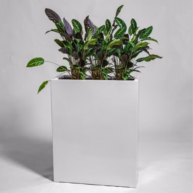 Primrose Gloss Polystone High Trough Planter, White, W/D/H: 100 x 80 x 40 cm