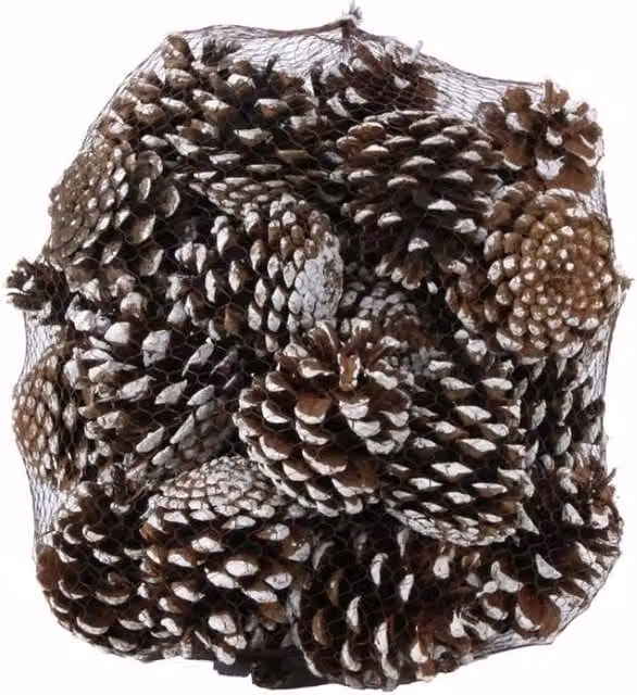 KDMD White Tipped Nigra Cones, 1kg