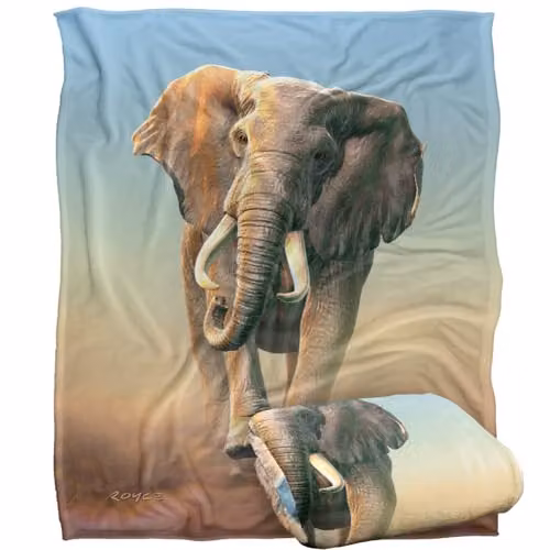 JQ Licensing Royce Mcclure Charging Elephant Super Soft Silky Touch Throw Blanket, White, W/D/H: 152 x 127 cm