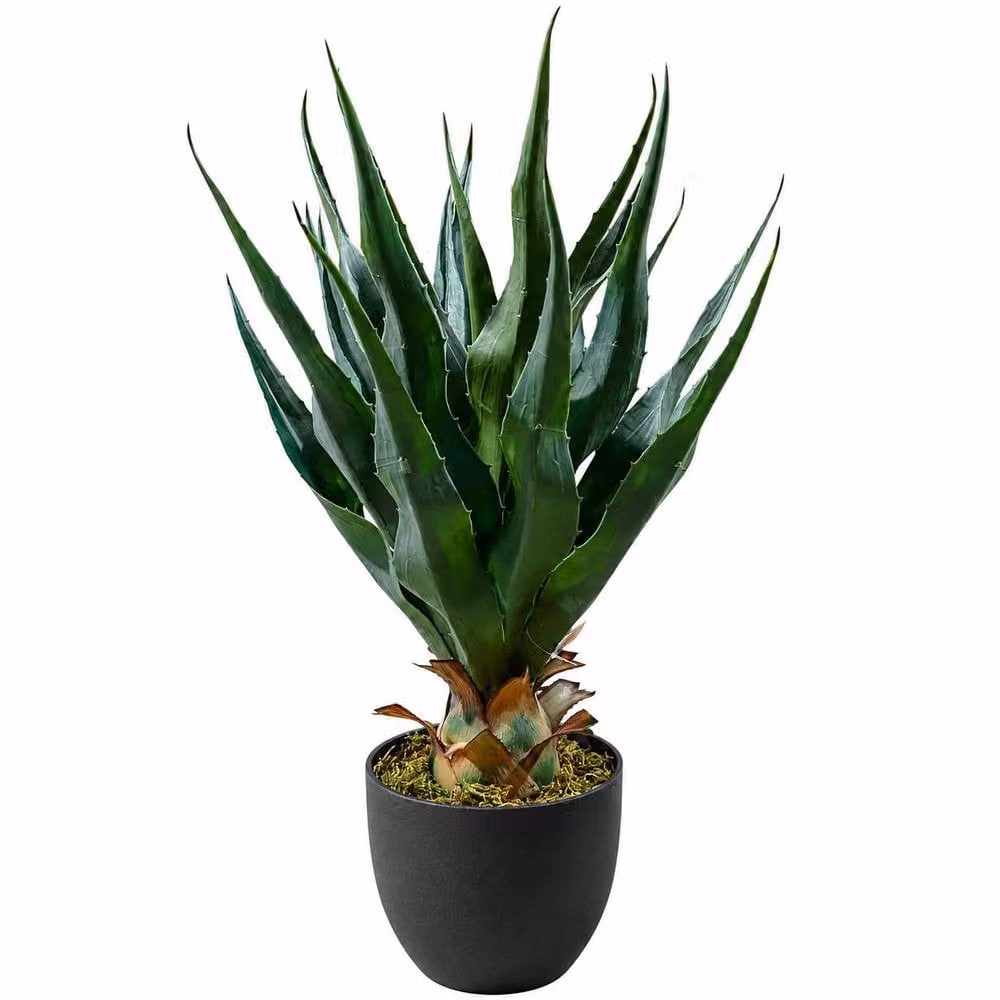 Leaf Premium Artificial Green Agave Tropical Yucca Succulent Potted Plant, Height: 70 cm – 3