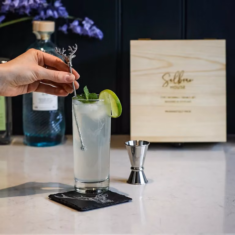 Selbrae House Stag Highball Tumbler Glass Set in Transparent