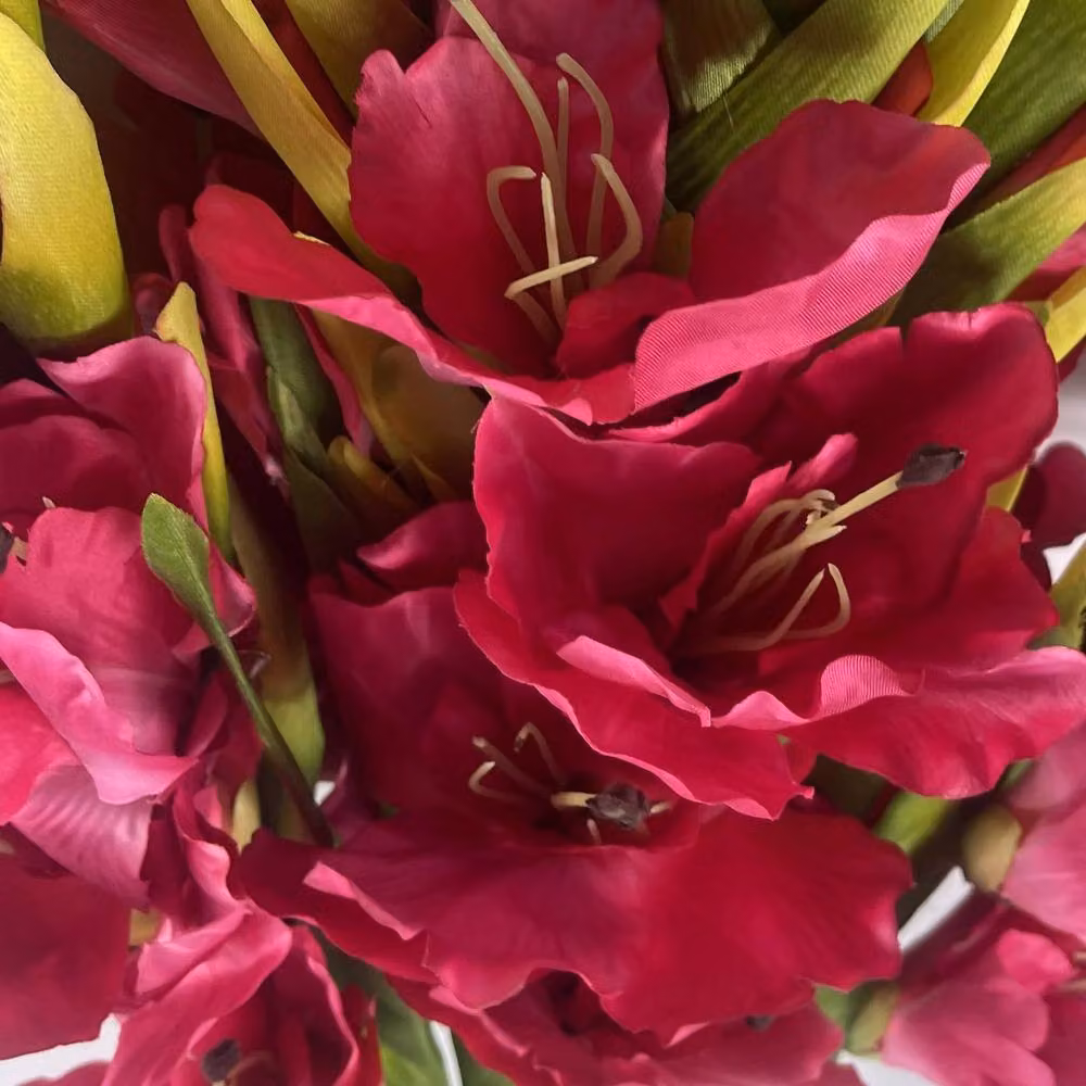 Botanik Pink Artificial Gladioli Stems, Pack of 6, Height: 115 cm – 2