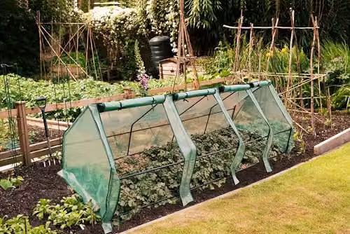 Garden Gear Compact Apex Cloche Plant Protector with Vent Windows in Green – 3