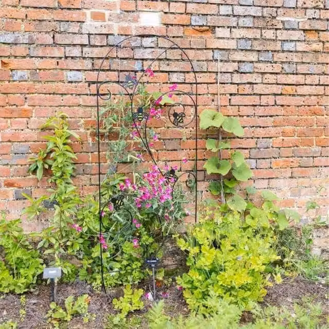Primrose Bee-Conscious Classic Steel Garden Plant Support Trellis in Silver or Black