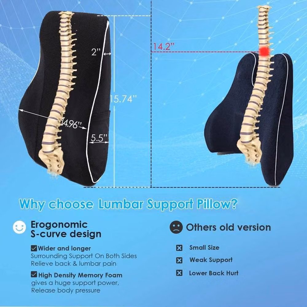 SPETLEK Contoured Lumbar Back Support Wedge Cushion in Black – 4