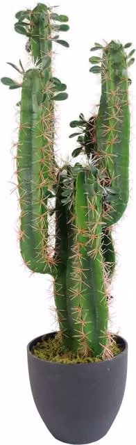 Leaf Design Green Potted Artificial Cactus Succulent, Height: 75 cm – 3